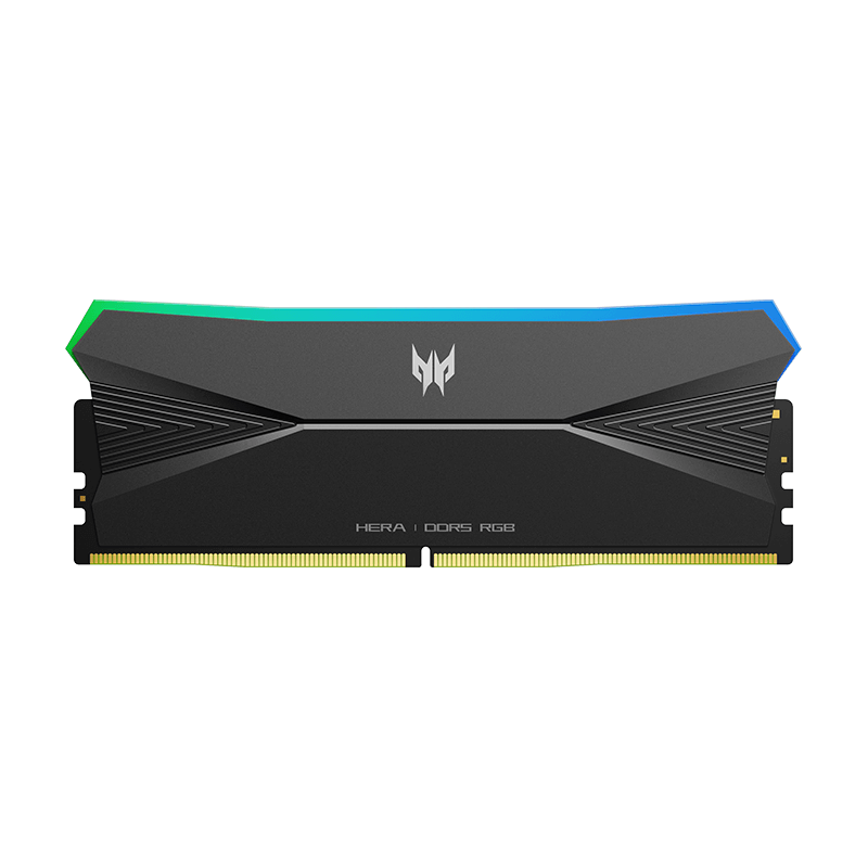 Black Predator Hera 16GB DDR5 RAM